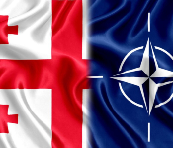 NATO-ს პრესსპიკერი: კანონის მიღებაზე გადაწყვეტილება ნაბიჯია არასწორი მიმართულებით