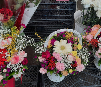 Մառնեուլիի քաղաքապետարանը Մայրության օրվա կապակցությամբ ձեռք է բերել 8 ծաղկեփնջեր և նվերների զամբյուղ
