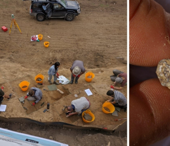 ოროზმანში აღმოჩენილი უძველესი კბილი გენინსპექციამ ექსპედიციის წევრის სახლიდან ამოიღო – მუზეუმი
